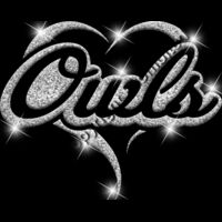 GLT77 SILVER GLITTER Thumbnail