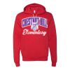 3719 Unisex Sponge Fleece Hoodie Thumbnail